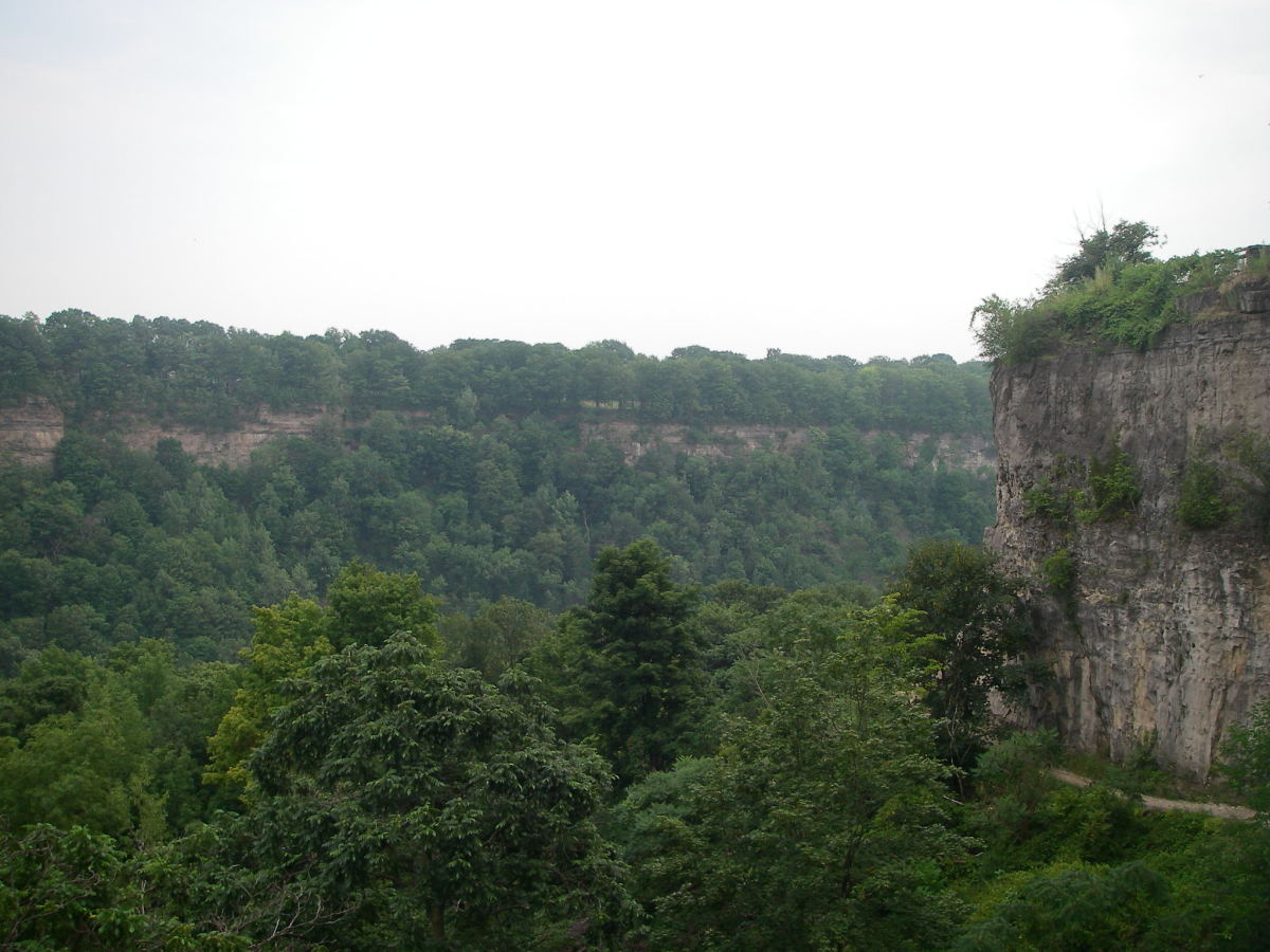 A view of Niagara Glen Nature Reserve.
