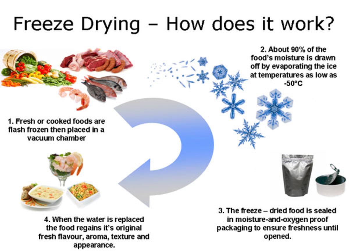 what-is-freeze-drying-or-lyophilisation-and-its-applications
