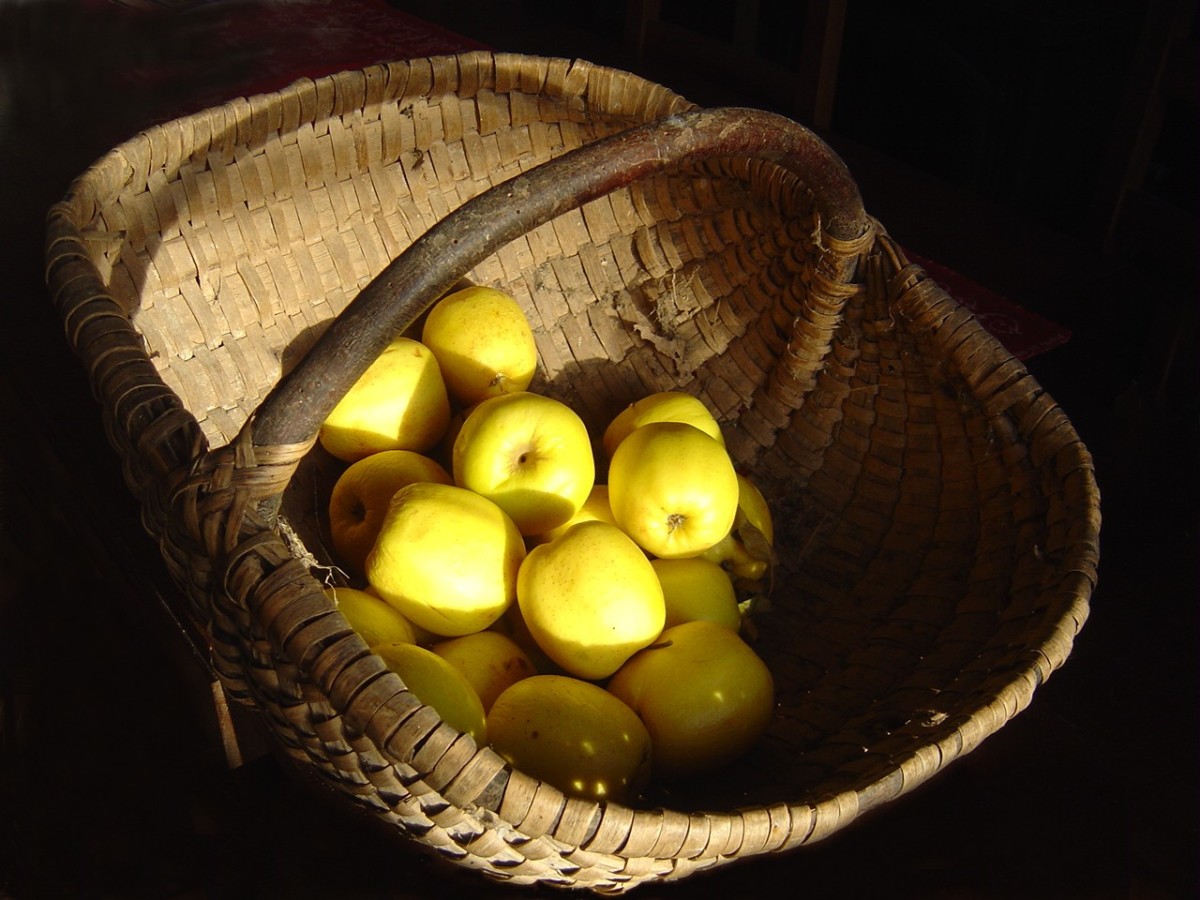 A lovely basket of home-grown, organic apples. Healthy? Yes, but they can lead to loss of tooth enamel.