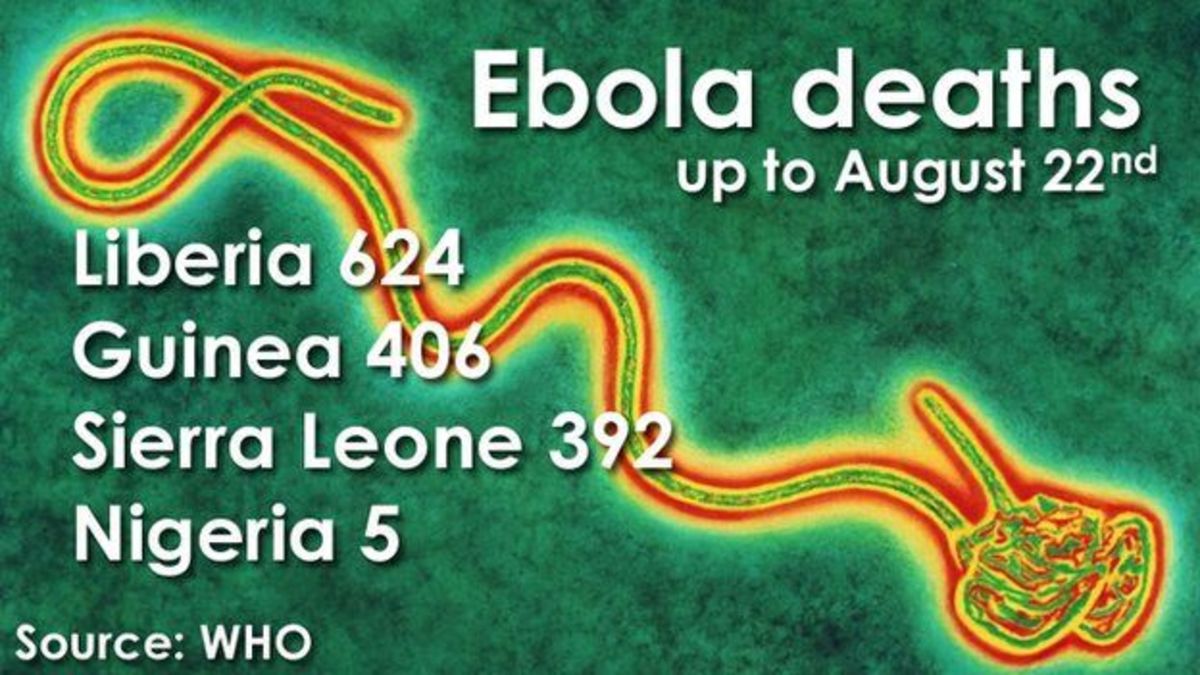 ebola-lassa-hemorrhagic-fevers-marburg-swine-flu-legionaires-diseases-the-thirdworldization-of-the-plagues