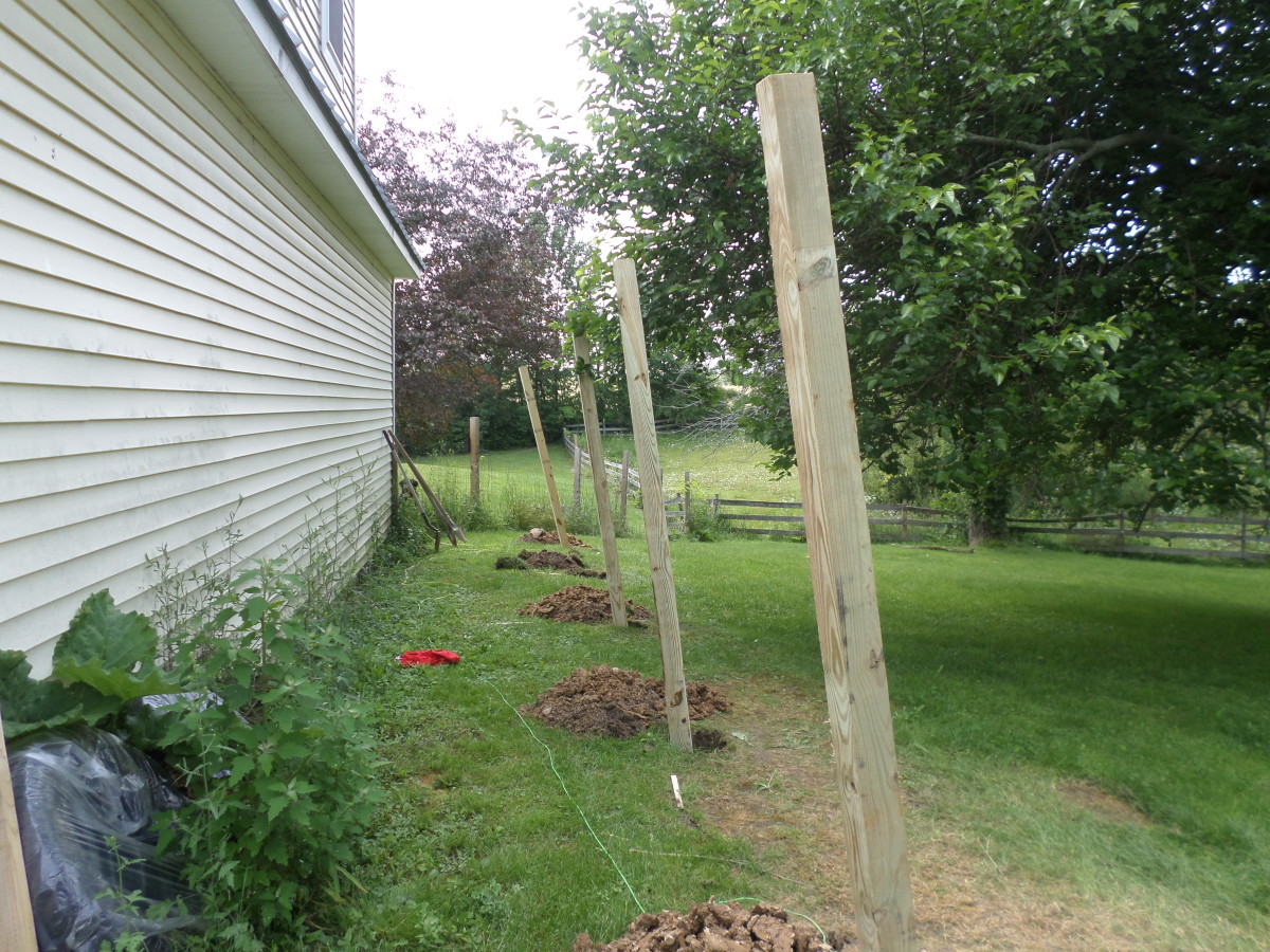 Building a Lean-To Shed - HubPages