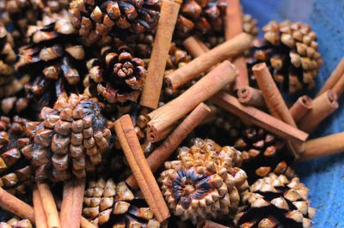 cinnamon-stick-craft-ideas