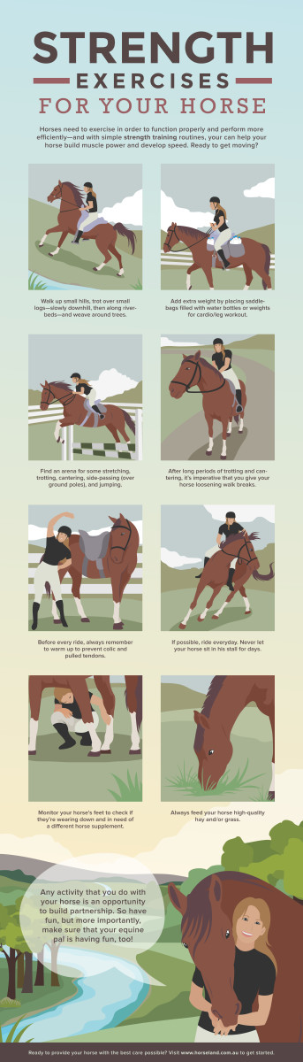 top-5-ways-to-exercise-your-horse