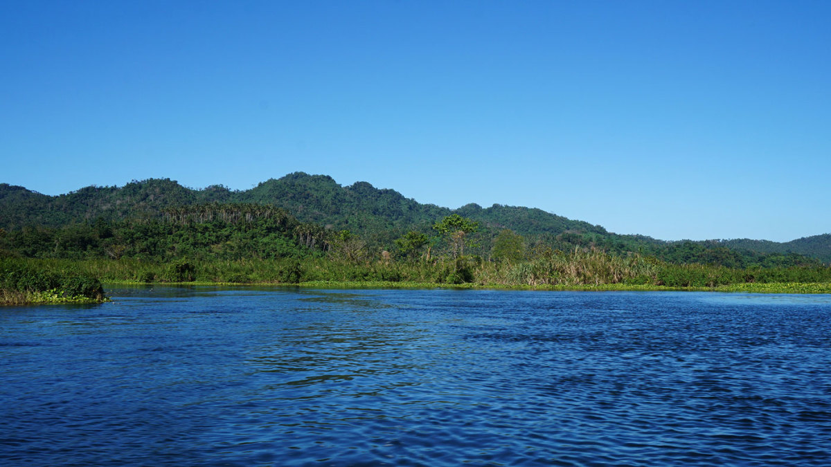 Naujan Lake is bounded by four Oriental Mindoro municipalities: Naujan, Victoria, Socorro, and Pola. 