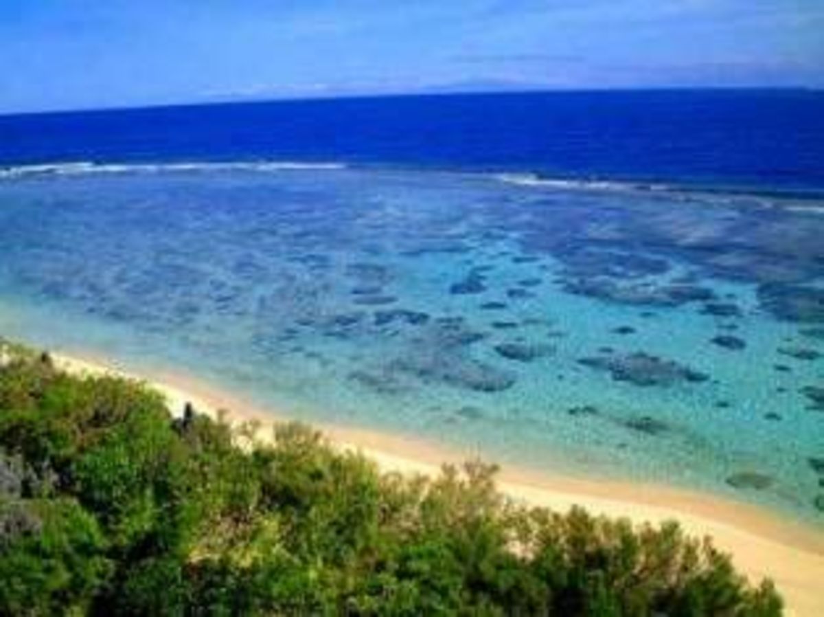 Apo Reef National Park is located at the west coast of Occidental Mindoro. It is bordered by three islands which marks as its surface; Apo Island, Apo Menor which consists of Binangaan Island and Cayos del Bajo Tinangkapang.