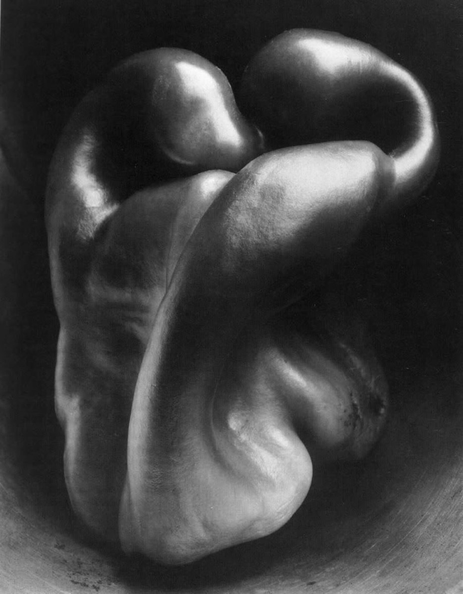 This artistic view of a simple pepper by Edward Weston, shows some of the new imagery that emerged from the f/64 group