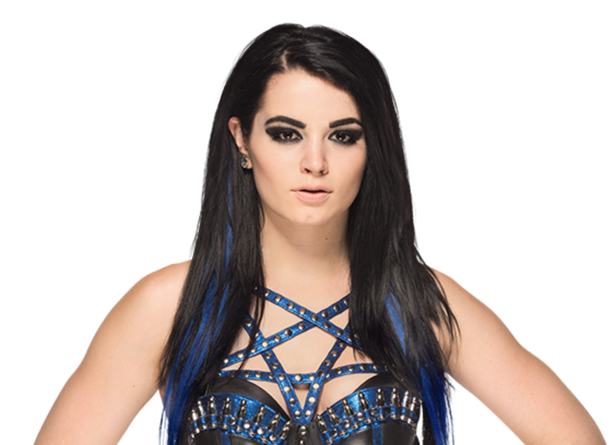 5 Facts About WWE Superstar Paige - HubPages