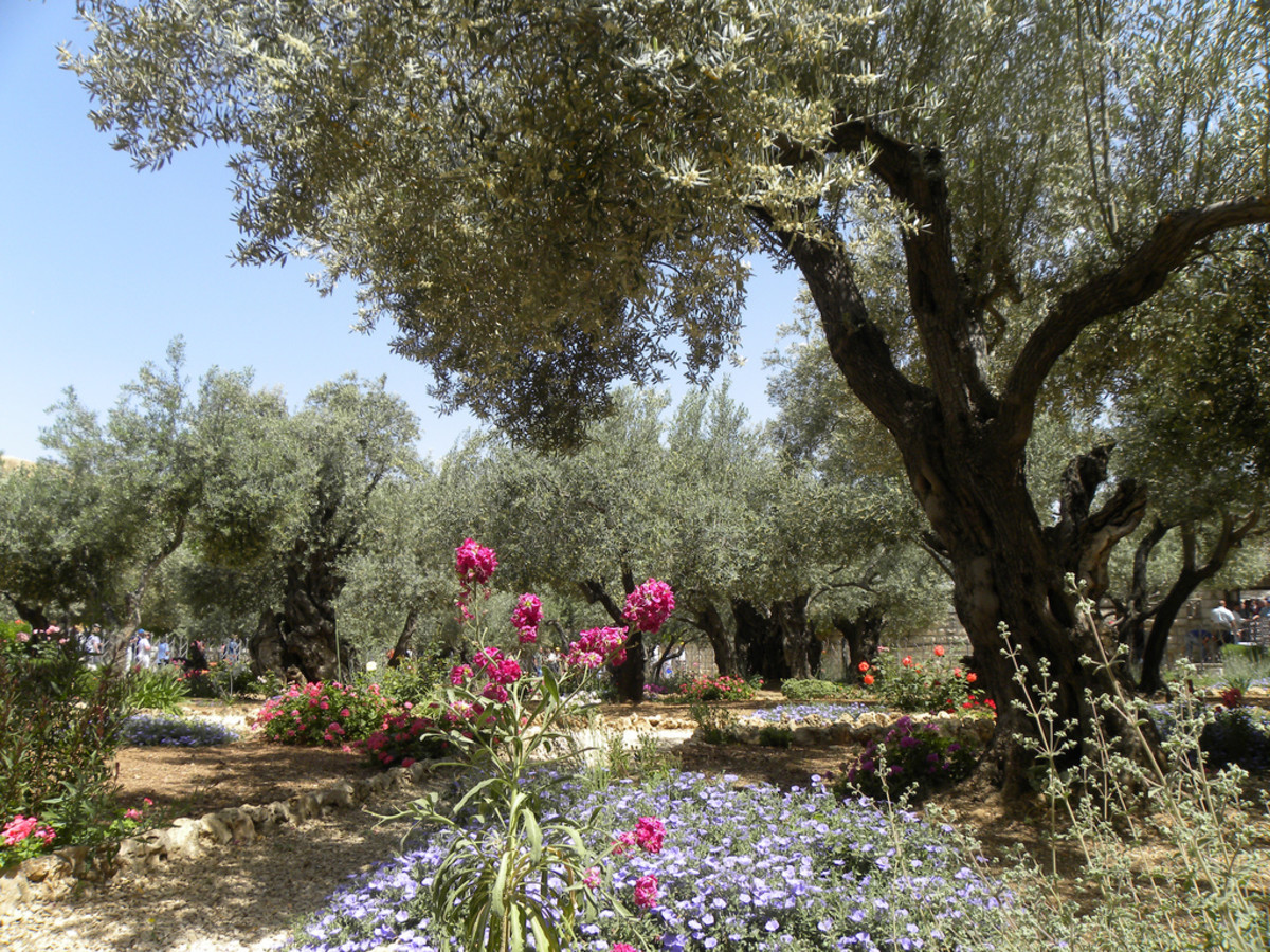 gardens-in-the-bible