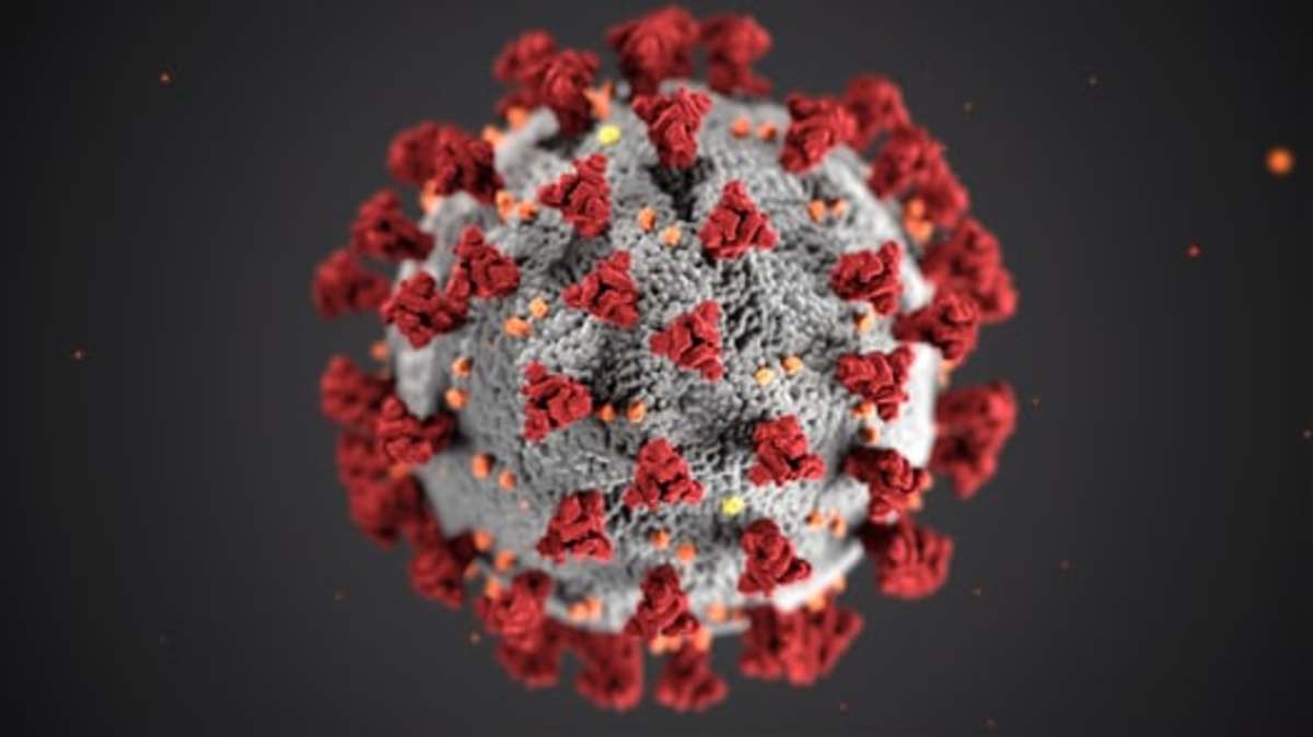 Coronavirus cell, an unusual virus infecting patients.