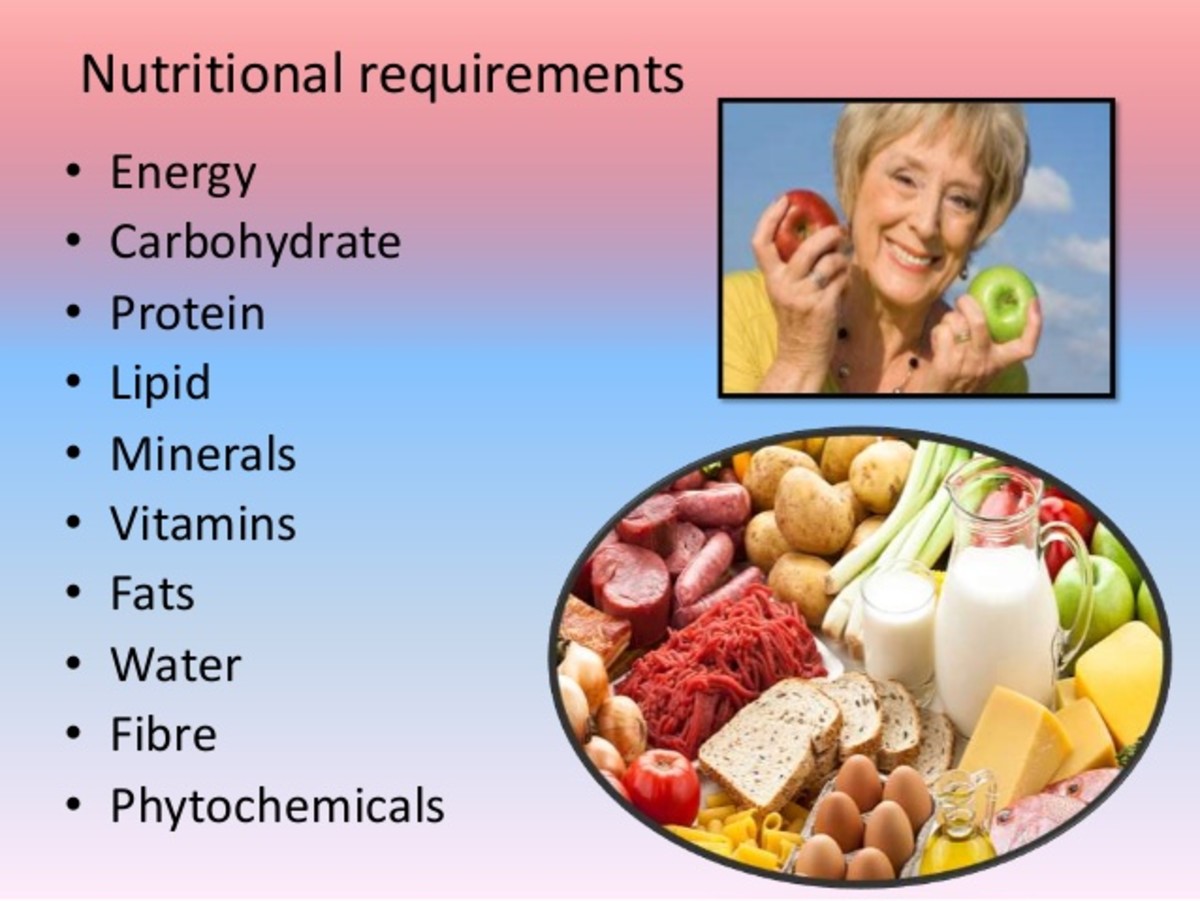 Nutrition for Old Age People HubPages