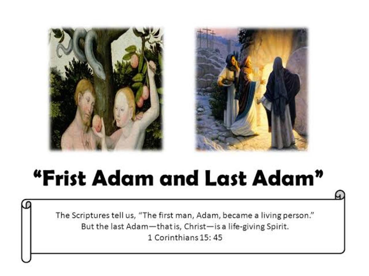 the-first-adam-and-the-last-adam-the-mystery-of-man-in-the-mystery-of-the-word-incarnate