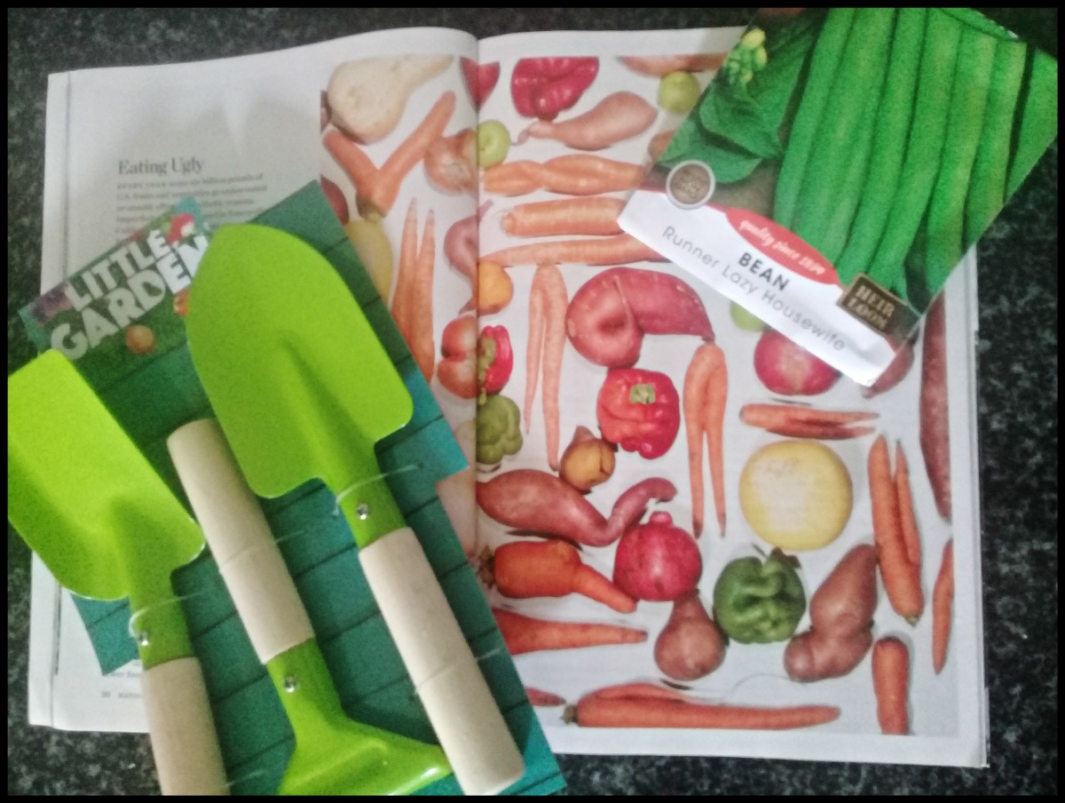 Easy Creative Garden Gift Giving Set For Kids