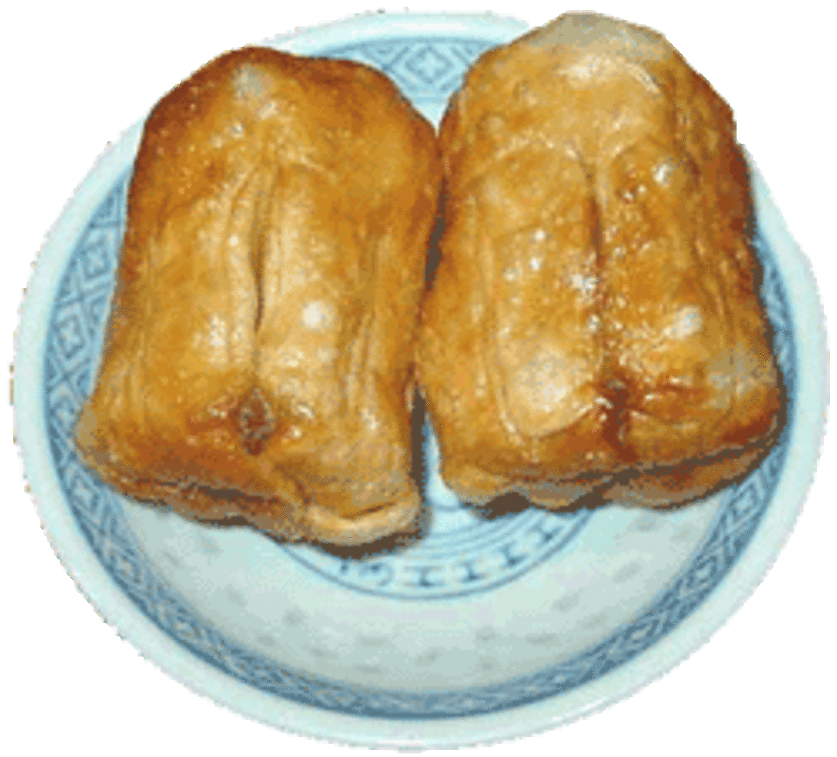 an example of fried Dim Sims