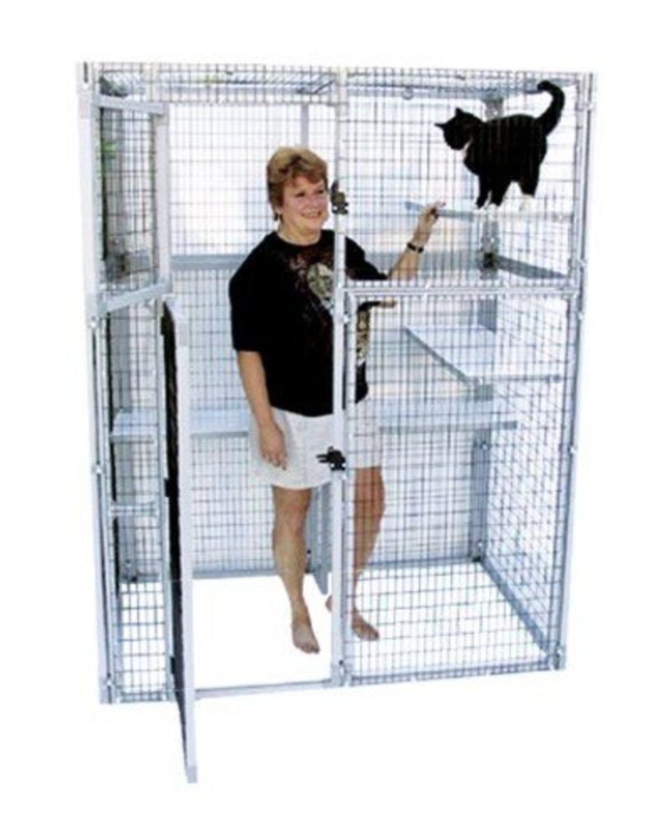 Finding The Appropriate Indoor Or Outdoor Cage For Your Cat finding-the-appropriate-indoor-or-outdoor-cage-for-your-cat