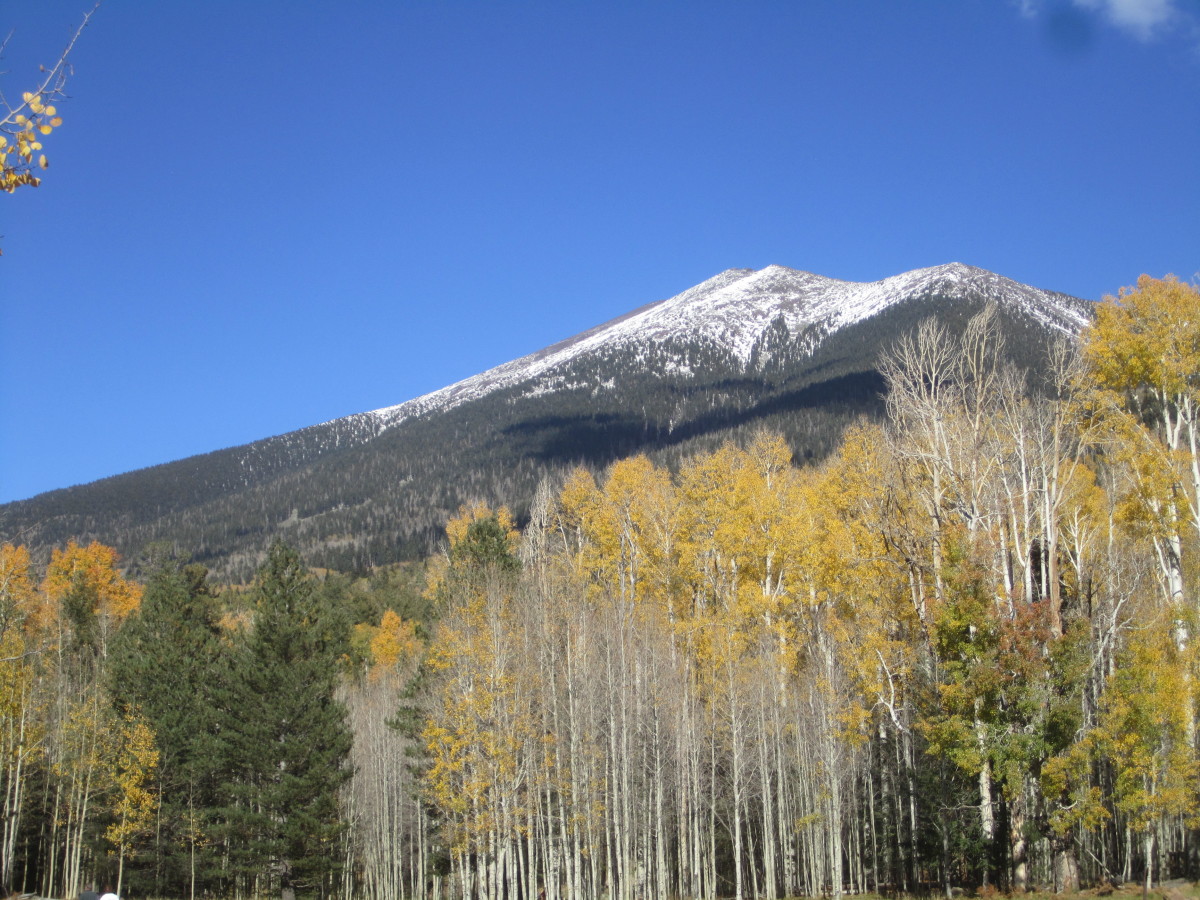 What To See And Do In Flagstaff, Arizona