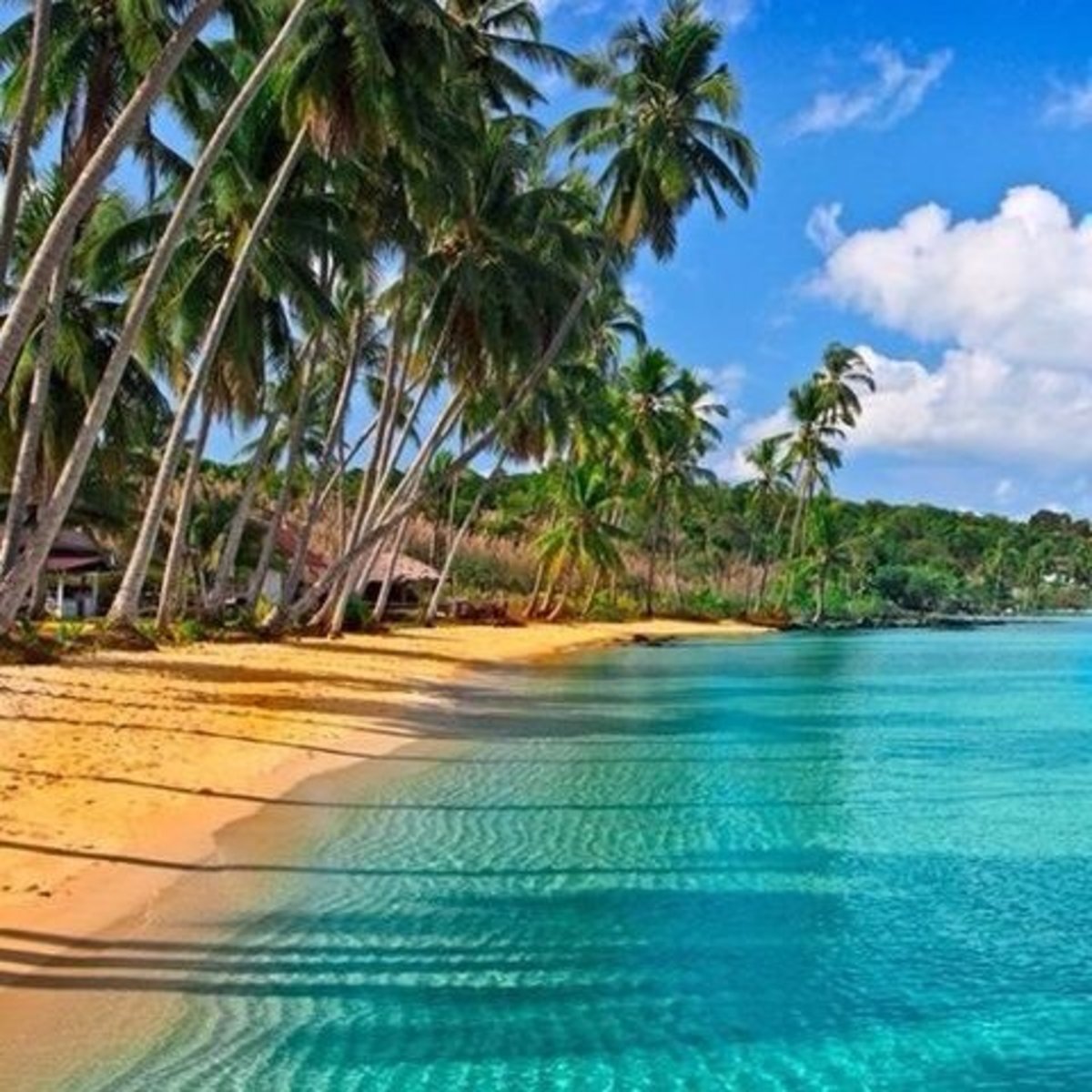 tropical-beach-pictures