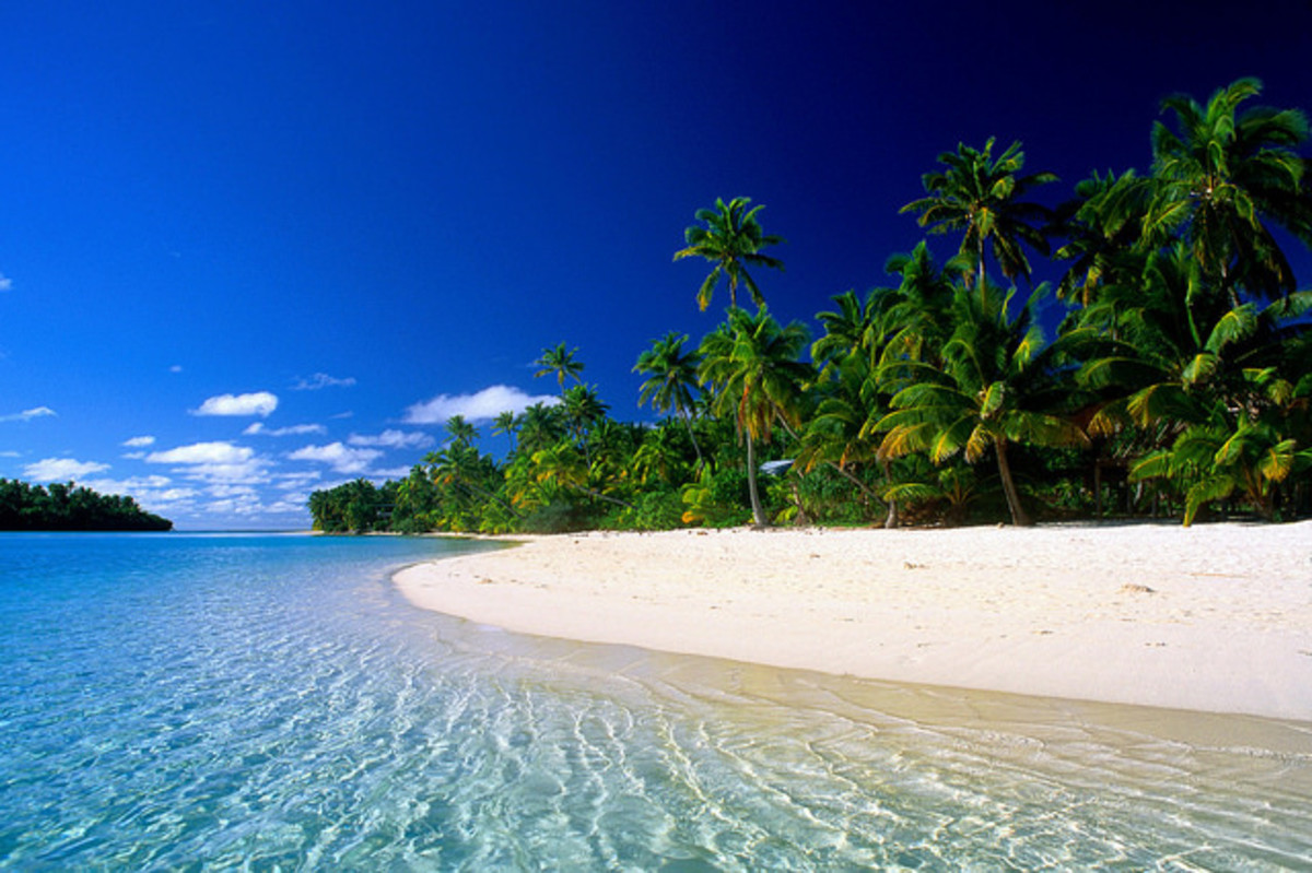 Tropical Beach Pictures
