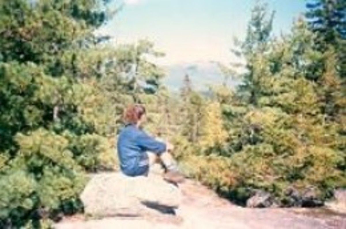 Contemplating Mt. Katahdin in the distance, at a campsite along the Appalachian Trail in Maine