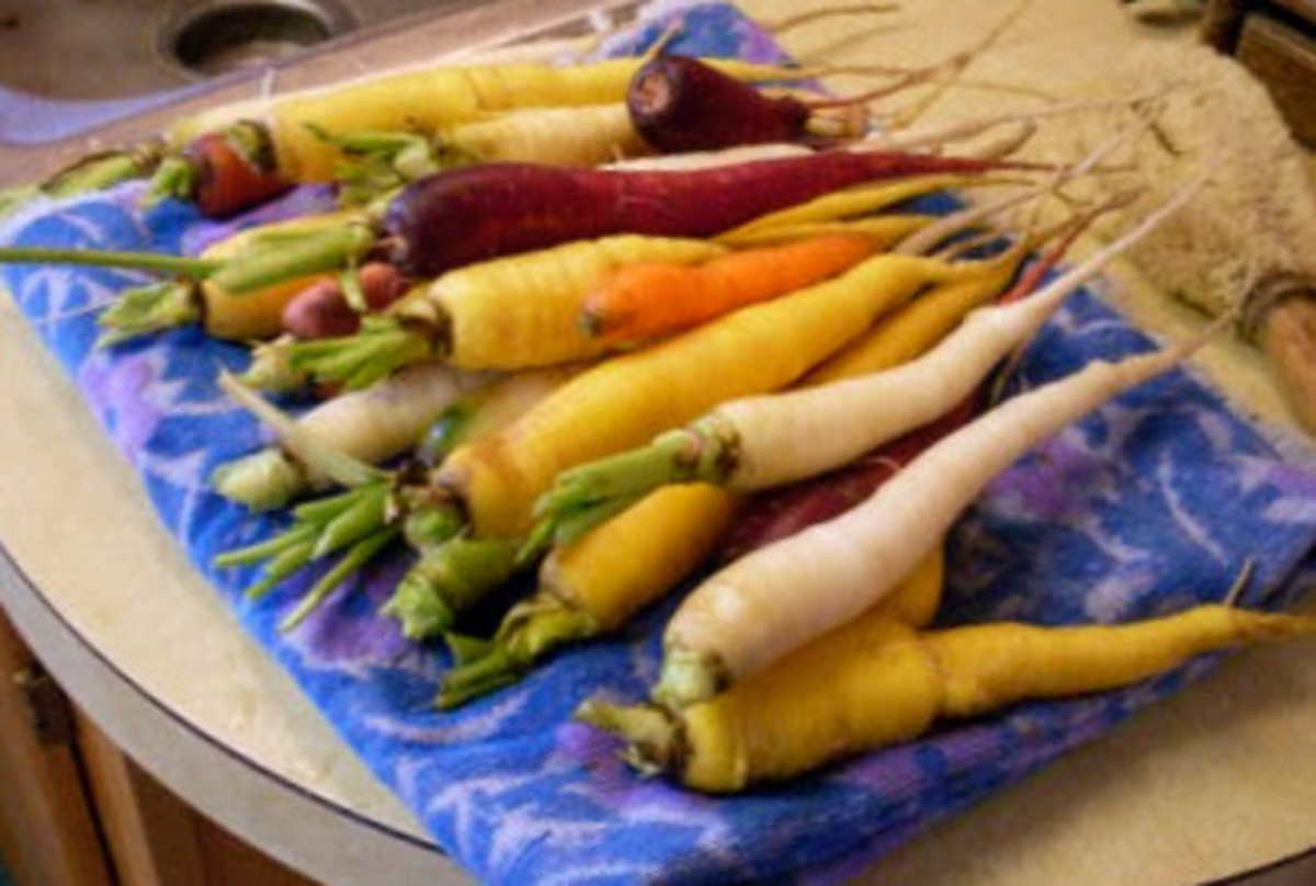How to Freeze Your Rainbow Carrots Dengarden