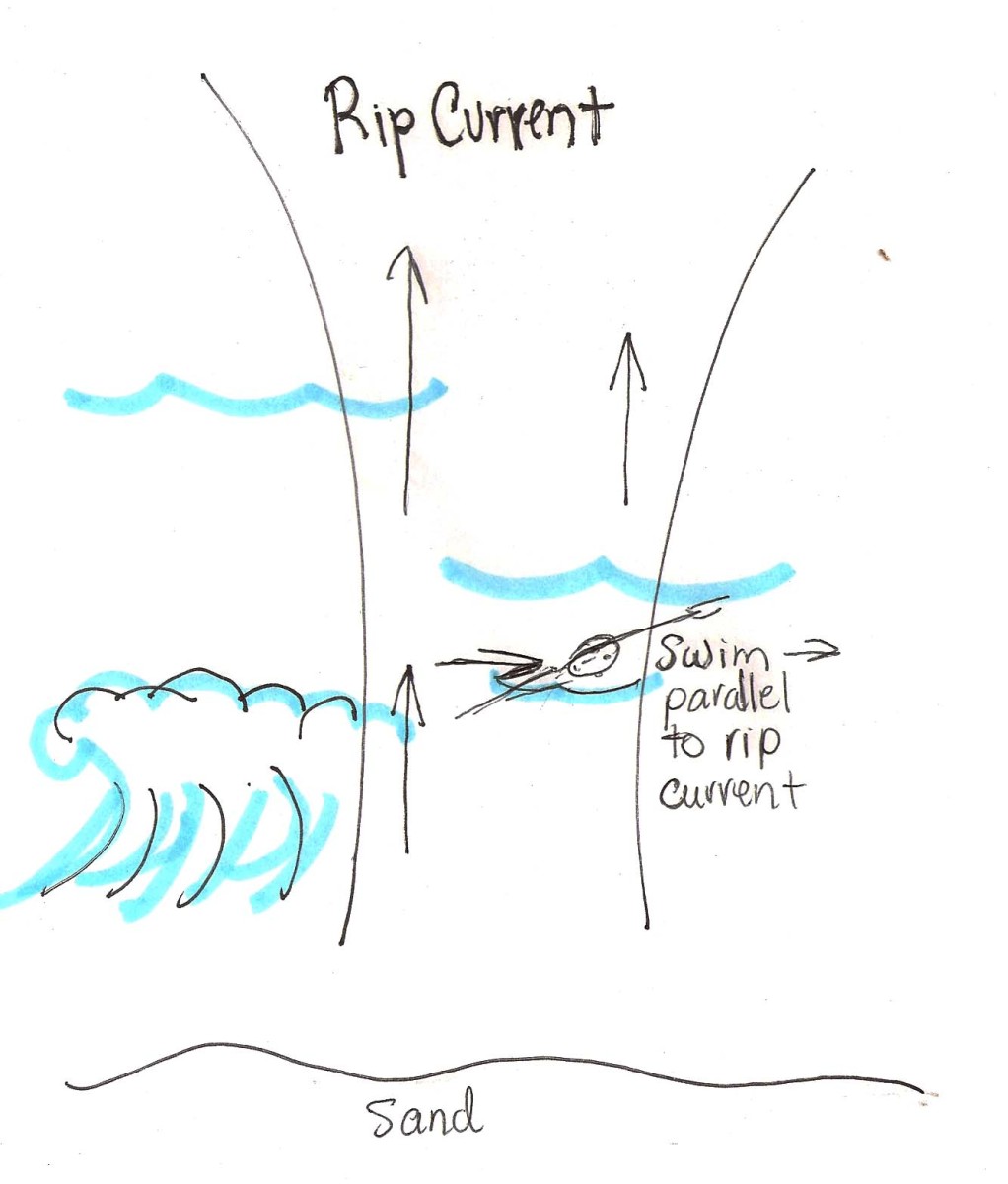 Rip current - if you find yourself being pulled out to sea by a rip current, swim parallel to the shore