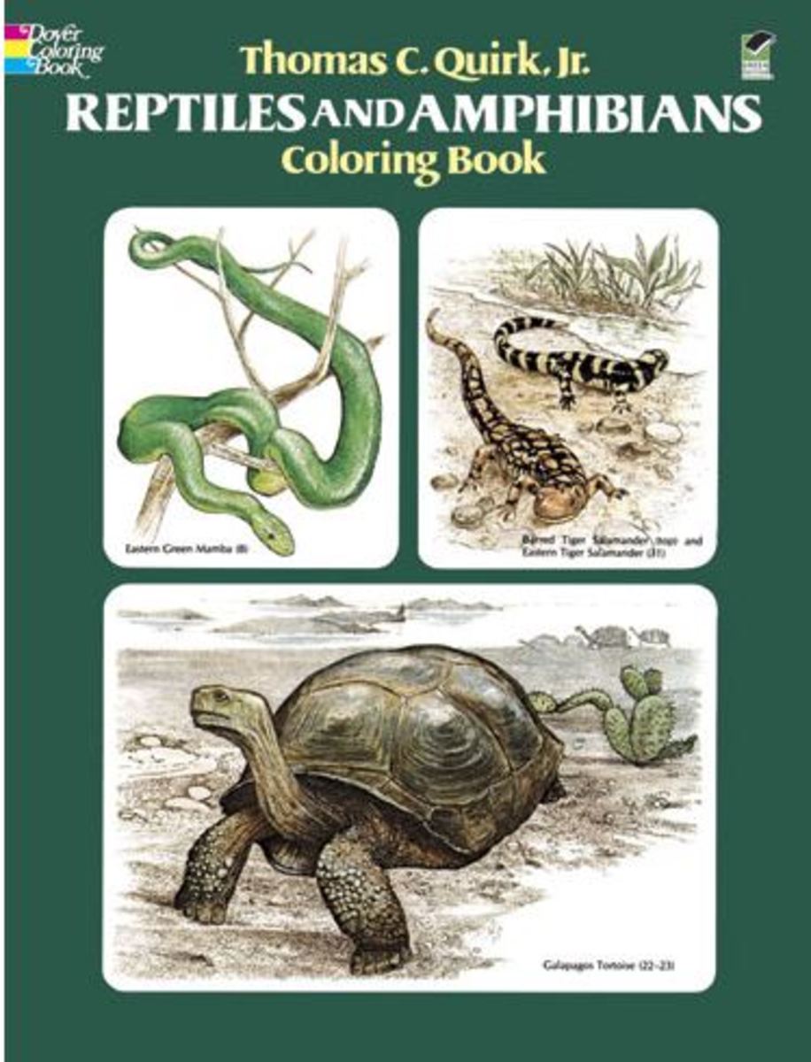 Reptiles and Amphibians Coloring Book