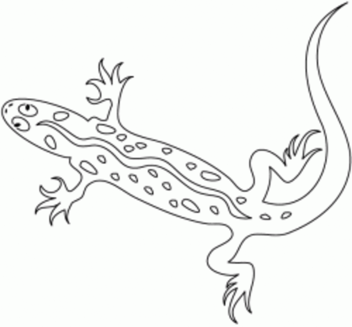 reptiles-amphibians-coloring-printables