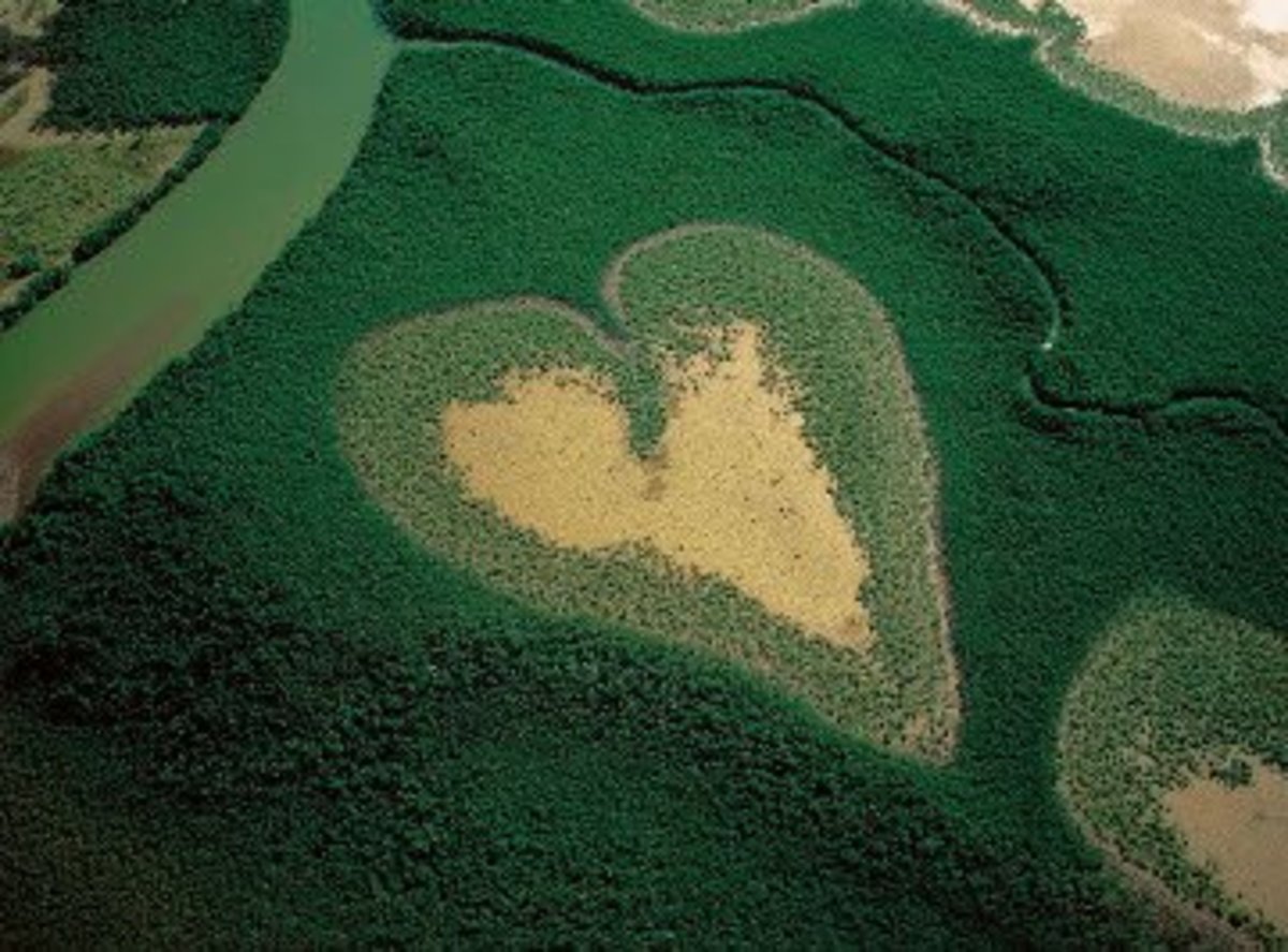 Heart-Shaped Mangrove, Voh, New Caledonia