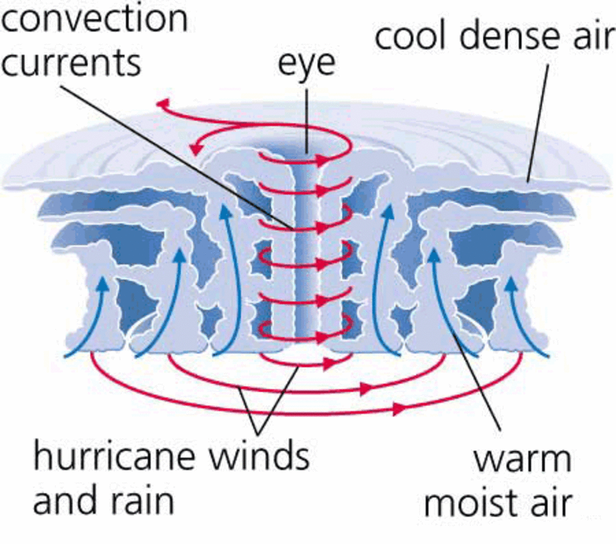 This simplified diagram shows the anatomy of a hurricane.