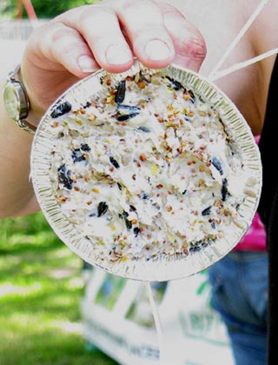 make-bird-feeders-from-recycled-containers