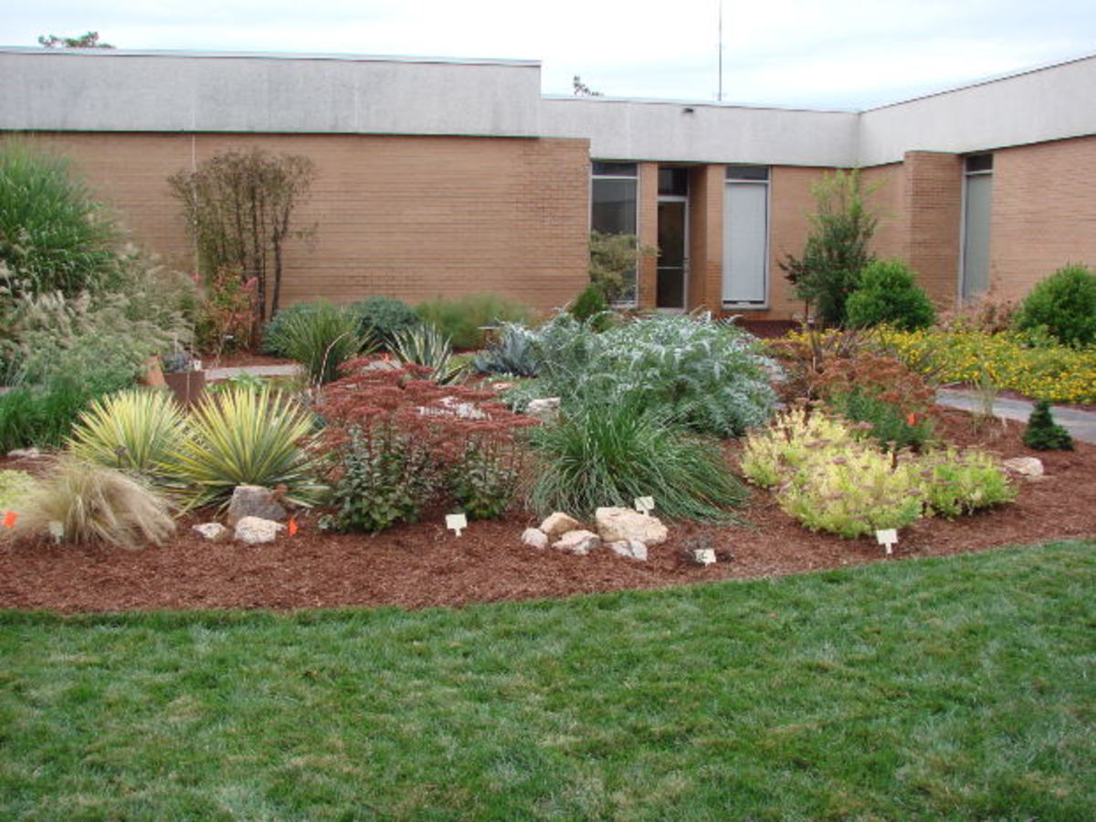 Sympathy Plants and Funeral Trees The Best Memorial Gift HubPages