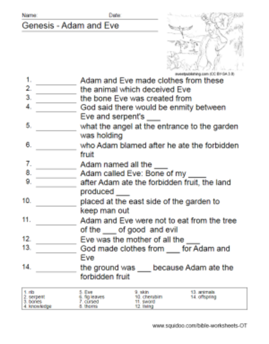 Answers In Genesis Worksheets