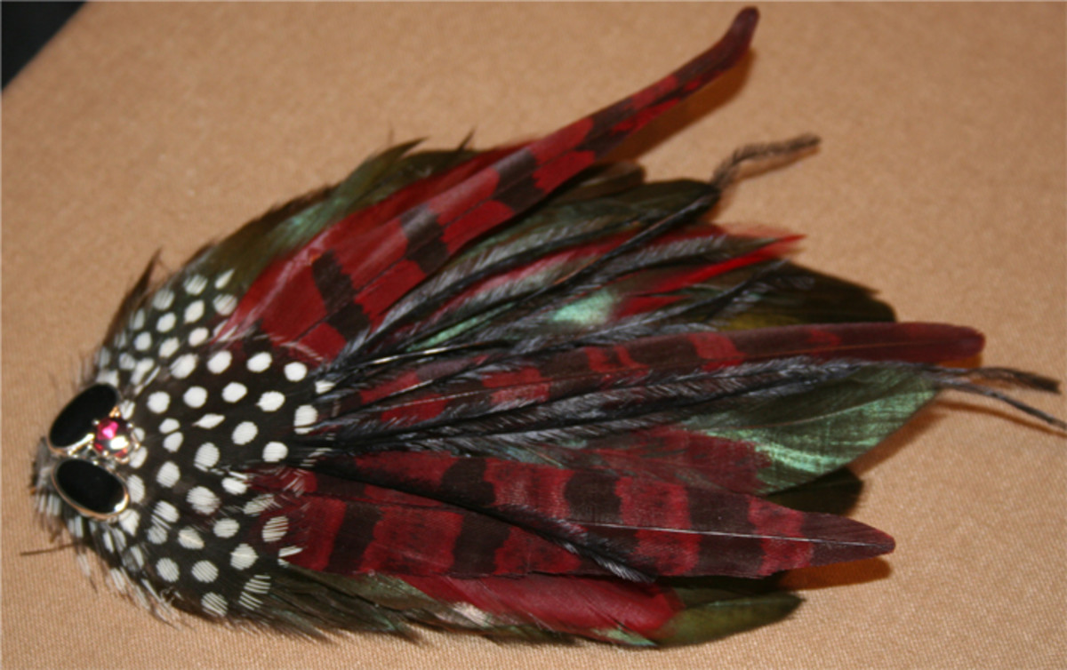 Peacock Accessories - Make Your Own Peacock Feather Hair Clips and Peacock Feather Earrings