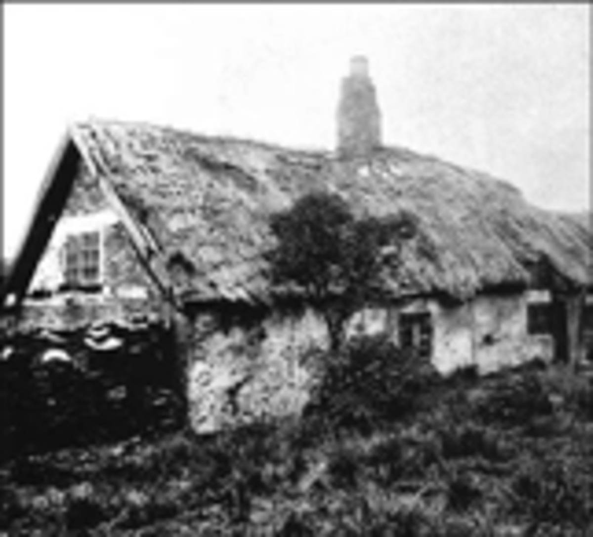 Molly Leigh's cottage that was demolished in 1894.