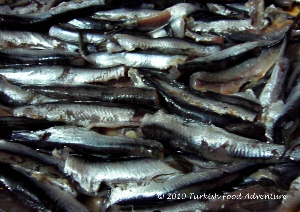 How to Make Hamsi Tava Turkish PanFried Anchovies Recipe HubPages