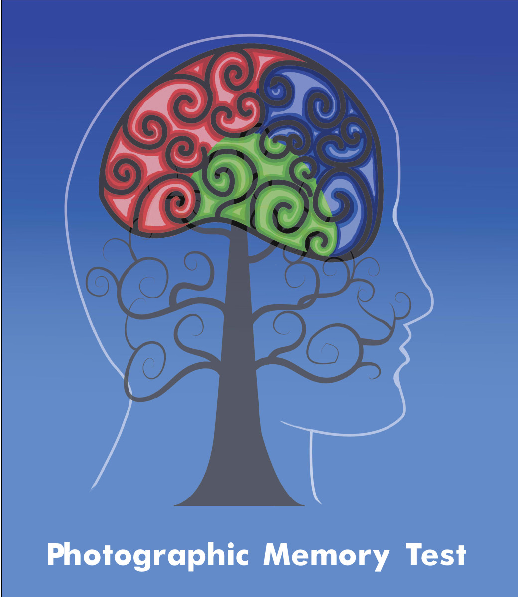 Do You Have A Photographic Memory Take The Photographic Or Eidetic 