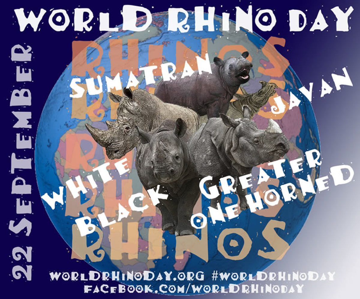 world-rhino-day