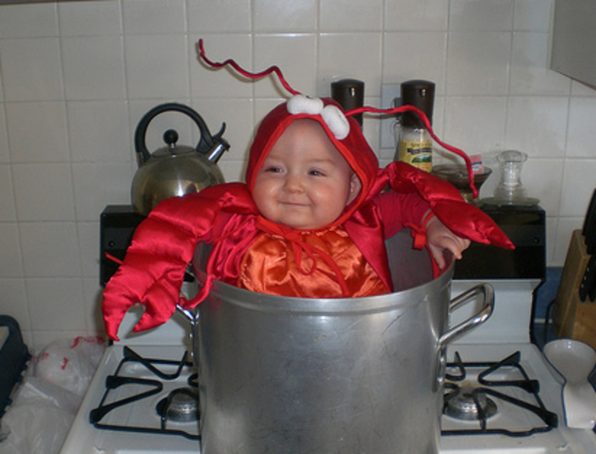 lobster-baby-costumes