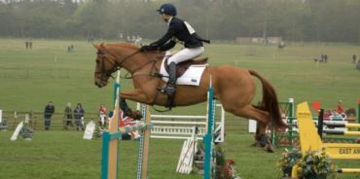 Horse riding lessons Position of the lower leg HubPages