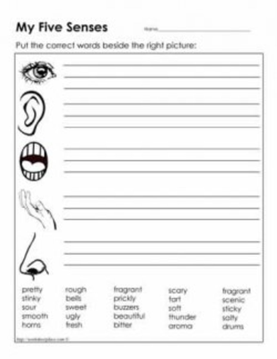five-senses-worksheets