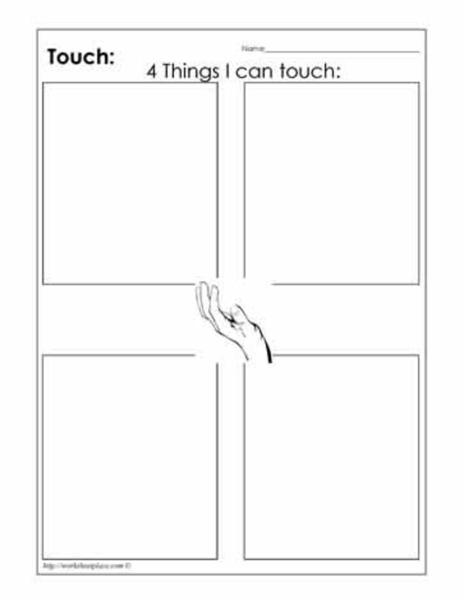 Sense of touch worksheet. Source:  Worksheet Place