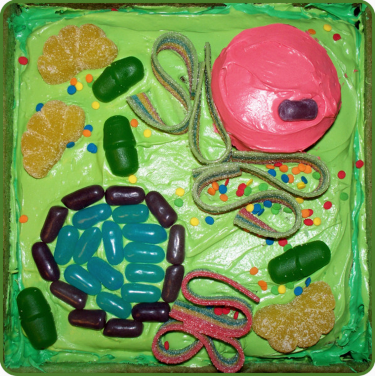 3d-plant-cell-cake