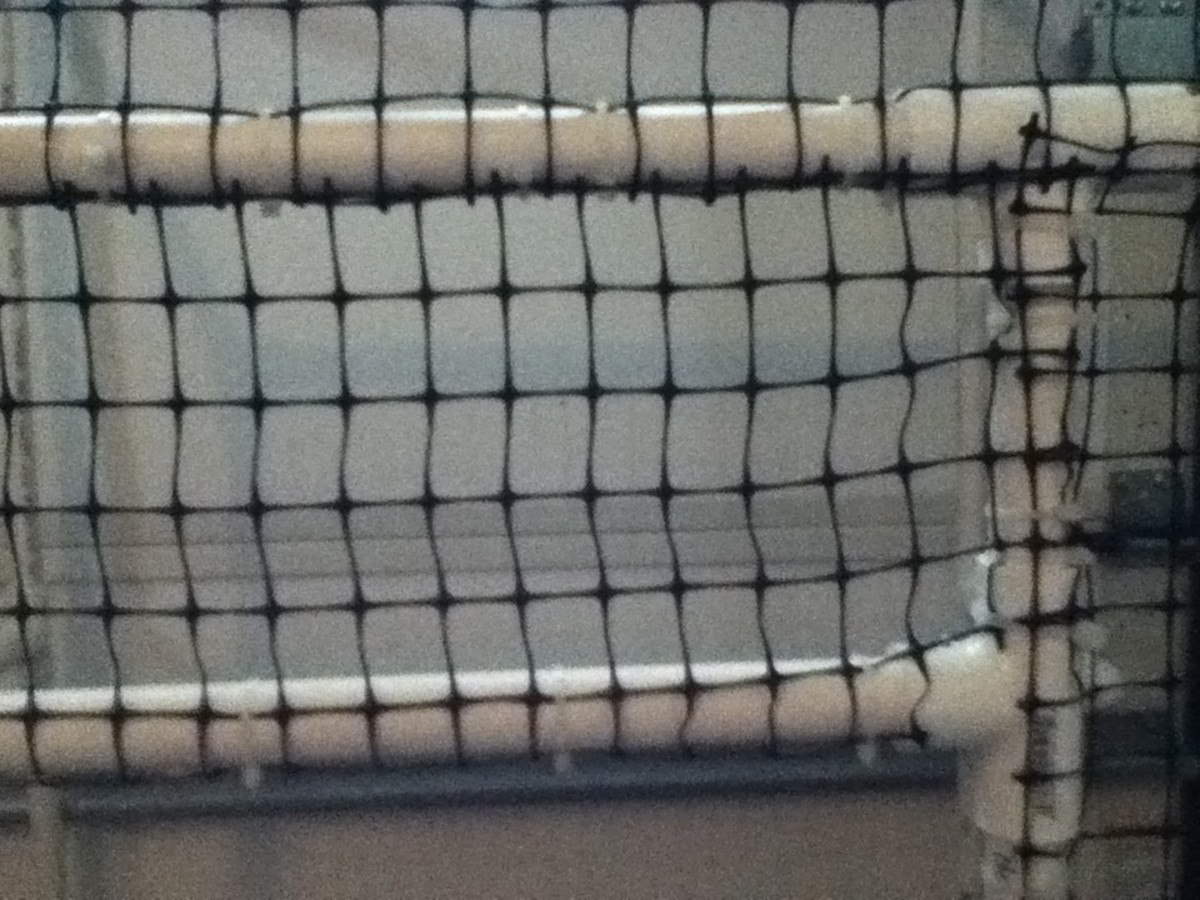 Meshed Front Of Cage