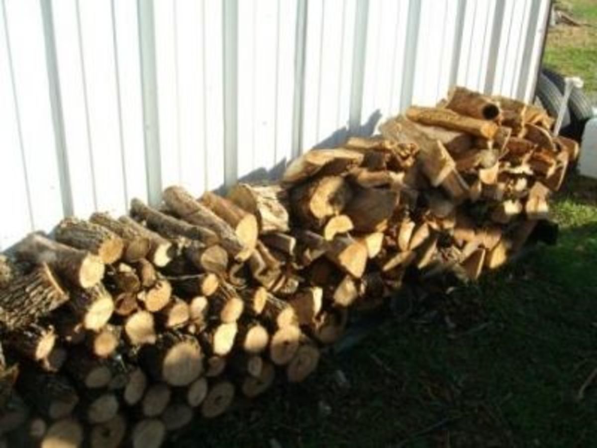 Here's some of the firewood I've cut & split recently