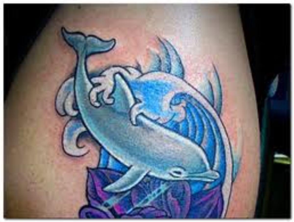Dolphin Tattoo Ideas and Dolphin Meanings on Whats-Your-Sign