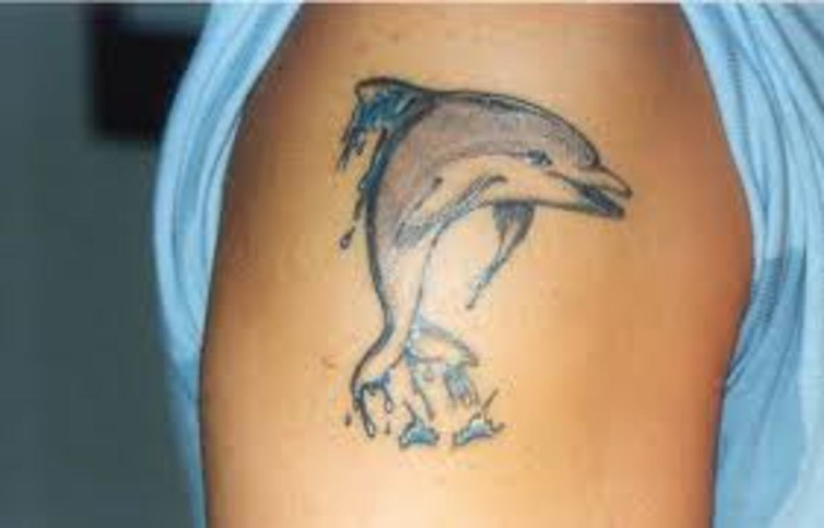 dolphin-tattoo-ideas-for-women-and-men-dolphin-tattoo-meanings-and-symbolic-history