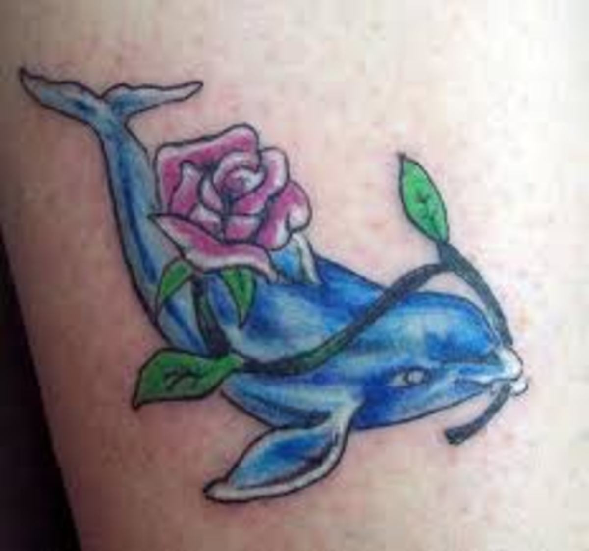 65 Best Dolphin Tattoo Designs  Meaning  2019 Ideas