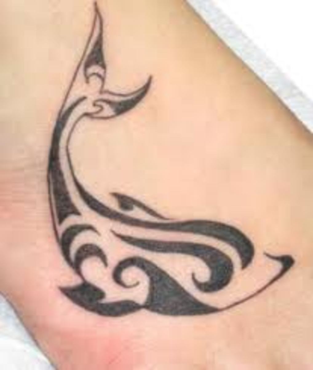 Dolphin Tattoo Designs And Dolphin Tattoo Meanings-Dolphin Tattoo Ideas And Tattoo Photos
