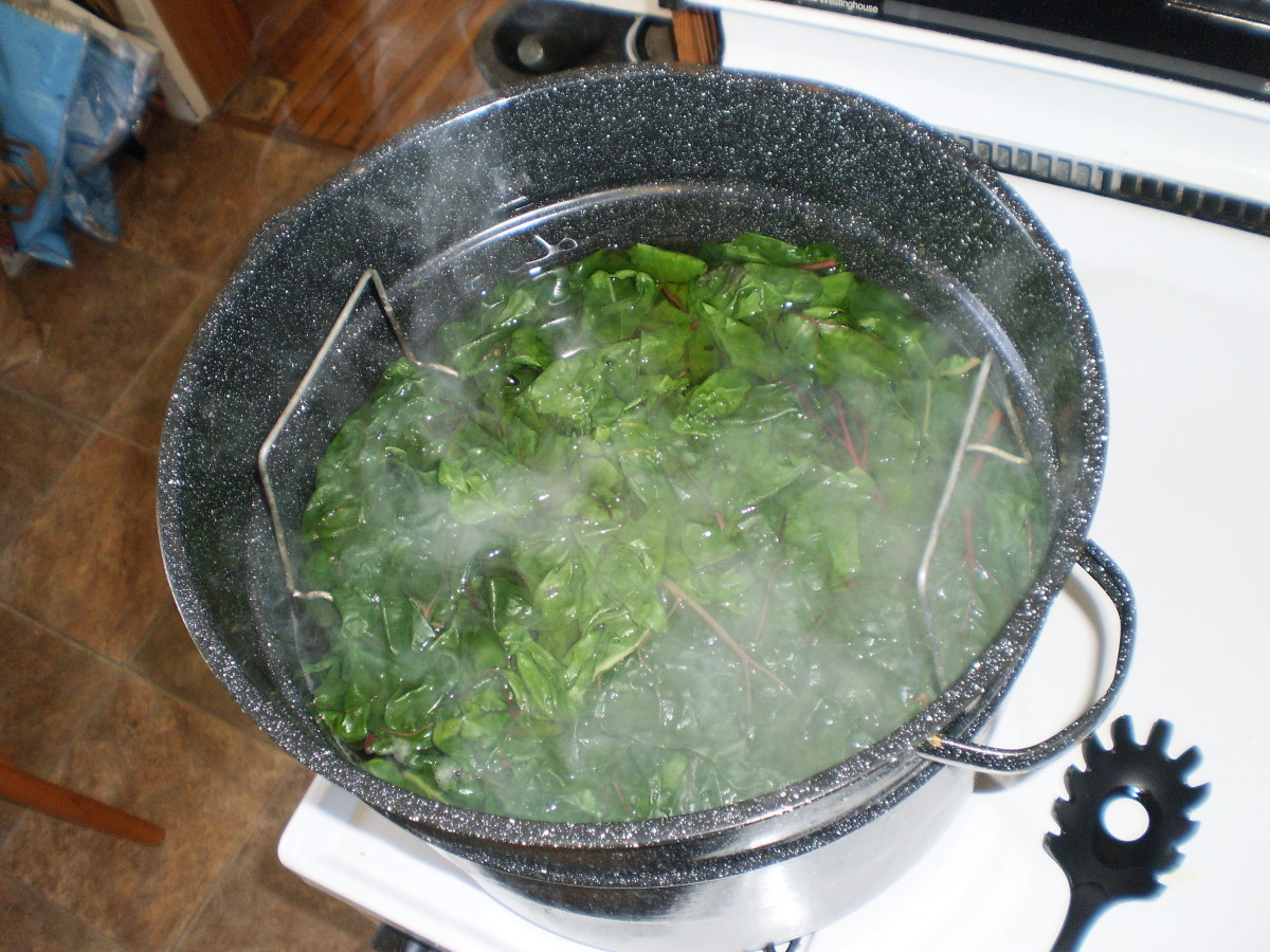 how-to-harvest-blanch-freeze-and-store-swiss-chard