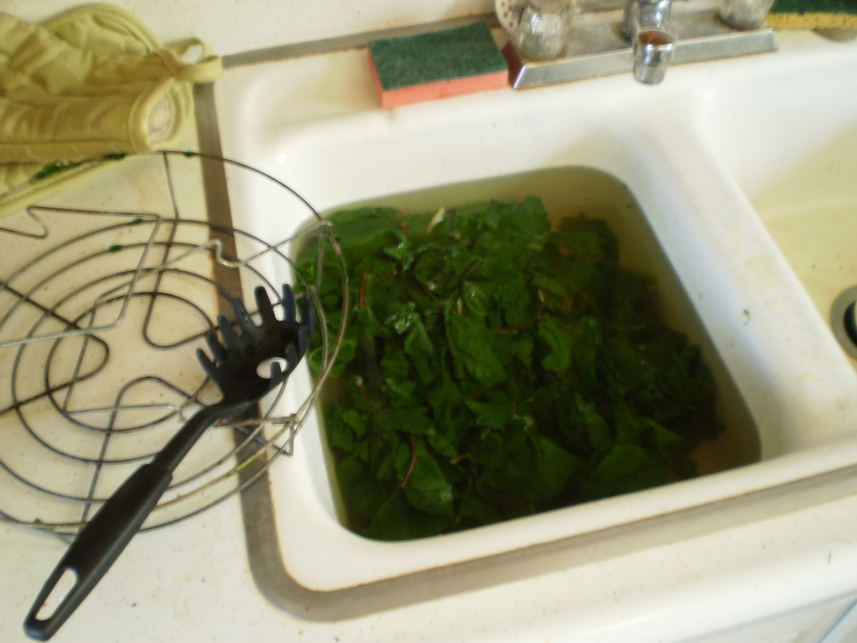 how-to-harvest-blanch-freeze-and-store-swiss-chard
