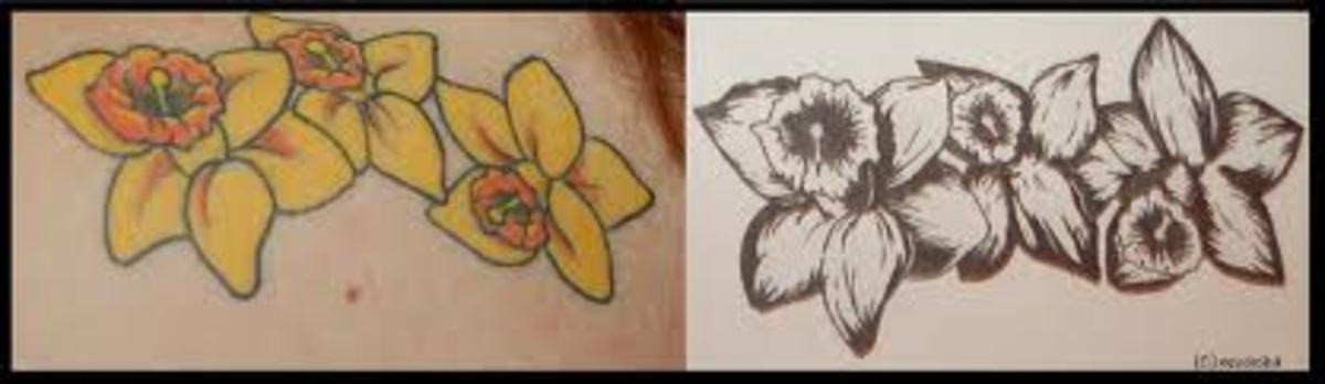 daffodil-tattoos-and-meanings-daffodil-tattoo-designs-and-ideas-daffodil-tattoo-images